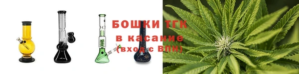 индика Бугульма