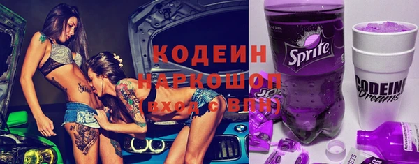 индика Бугульма