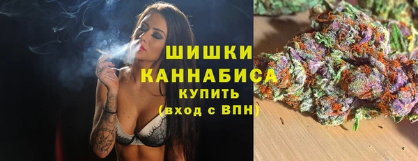 индика Бугульма