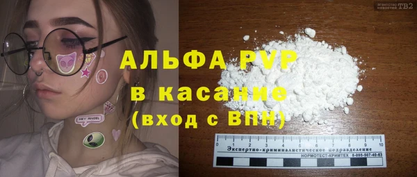 индика Бугульма