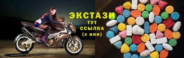 индика Бугульма