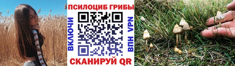 Галлюциногенные грибы MAGIC MUSHROOMS  наркотики  Рузаевка 